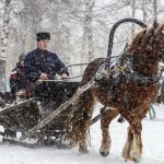 Рождество в Богородском благочинии 11
