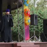 День пожилого человека в г. Домодедово 0