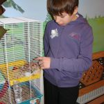 Праздник для детей в Коломне 3