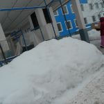 Помощь химкинской больнице 2