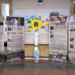 Чудо Рождества - чудо жизни 0 Чудо Рождества - чудо жизни 0