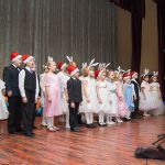 Рождество в Богородском благочинии 0