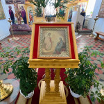 Гости на приходе Покровский храм села Никульское 2
